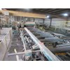 1996 Salem 10 x 48 Thin Kerf Gang Saw