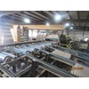 1996 Salem 10 x 48 Thin Kerf Gang Saw