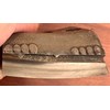 Newman Helical Carbide Size 5 Planer