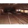 Unknown 78ft 4 Strand Green Chain Conveyor Board Dealing