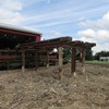 Unknown 20FT  Conveyor Deck (Log Lumber)