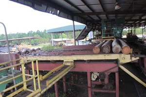 Unknown 5 strand  Conveyor Deck (Log Lumber)