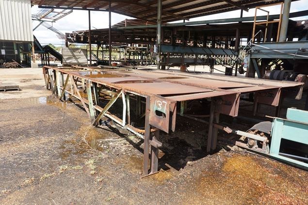 Unknown 12ft x 30ft 4 Strand Conveyor Deck (Log Lumber)