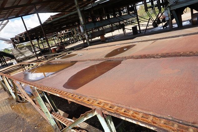 Unknown 12ft x 30ft 4 Strand Conveyor Deck (Log Lumber)