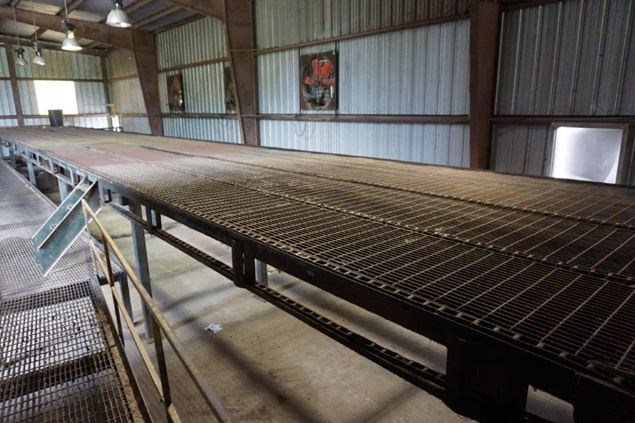 Unknown 80ft 4 Strand Conveyor Board Dealing