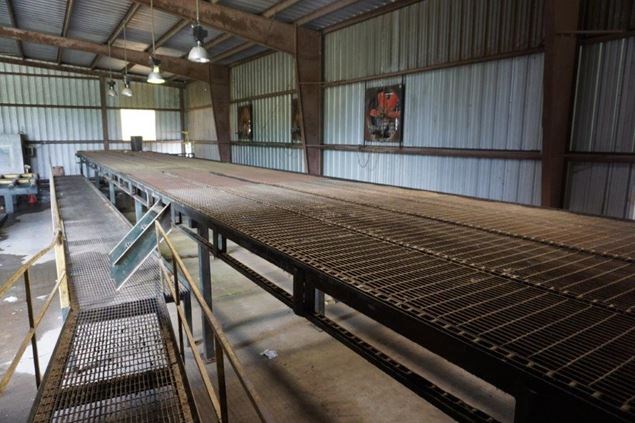 Unknown 80ft 4 Strand Conveyor Board Dealing