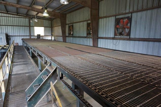 Unknown 80ft 4 Strand Conveyor Board Dealing