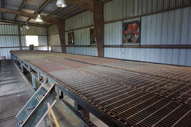 Unknown 80ft 4 Strand Conveyor Board Dealing