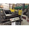 Mereen-Johnson 441 Rip Saw with Cameron Automation Infeed Gang Rip Saw