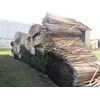 Unknown Stacking Sticks Lumber Stacker