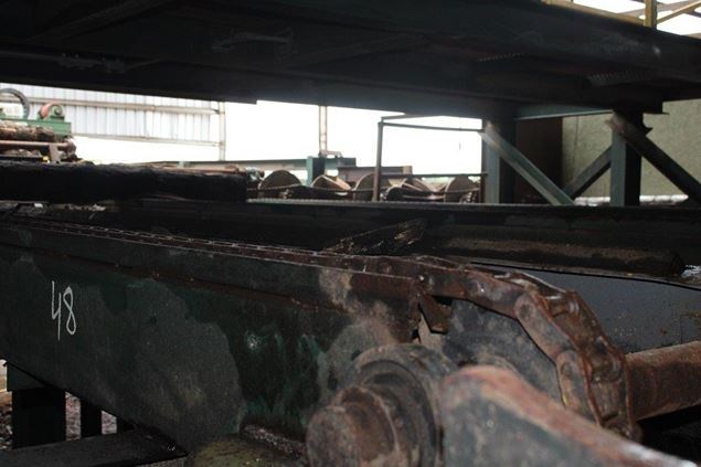 Unknown 3 Strand Conveyor Deck (Log Lumber)