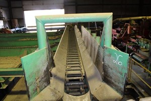 Endwise 20ft  Conveyor Deck (Log Lumber)