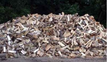 National Firewood Workshop come to New York in May